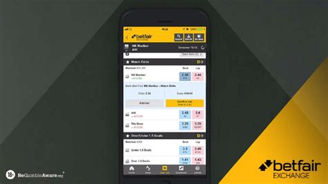 betfair back and lay.